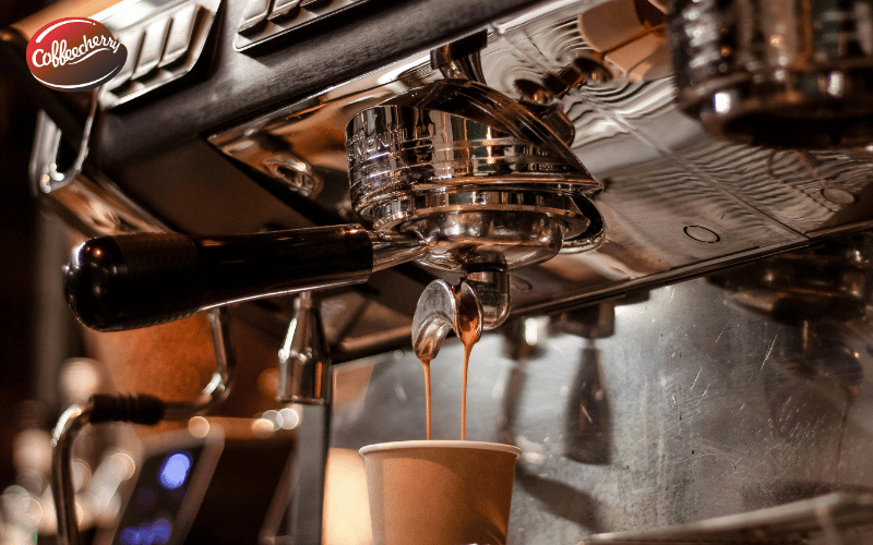 ca-phe-robusta-va-arabica-khac-nhau-cau-truc-hat-va-caffeine-the-nao (4)